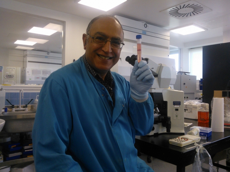 Ahmed in the cat 3 lab